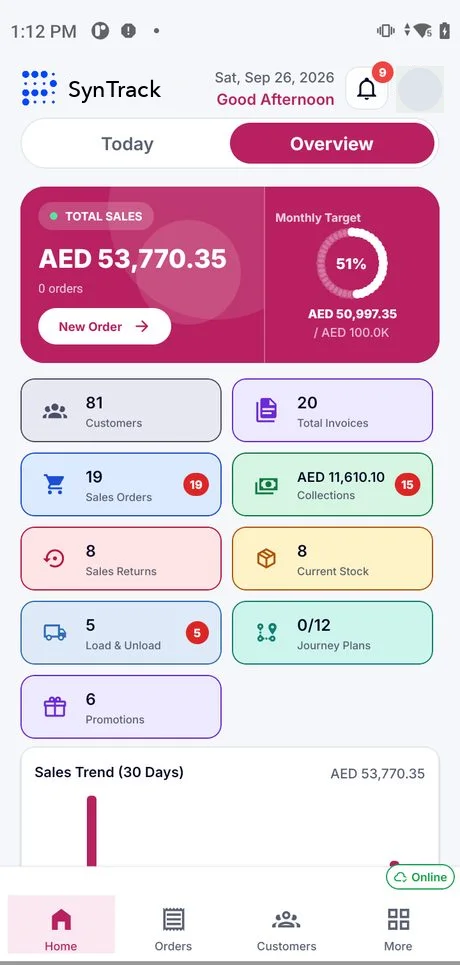 Van sales app Overview screen: total sales against monthly target, customers, invoices, sales orders, collections, returns, current stock, load and unload, journey plans and promotions