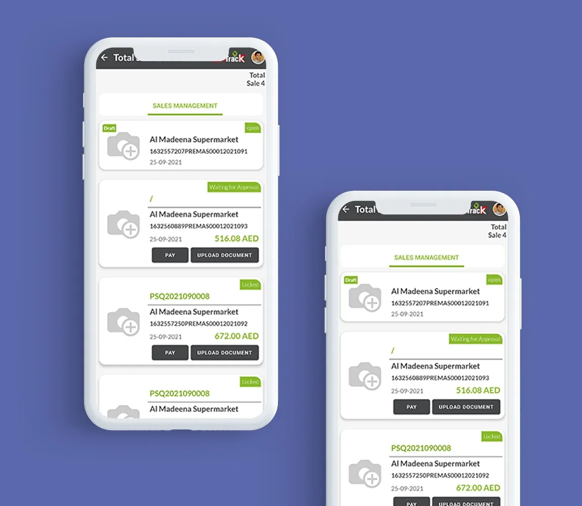 Direct Store delivery software and field sales management software